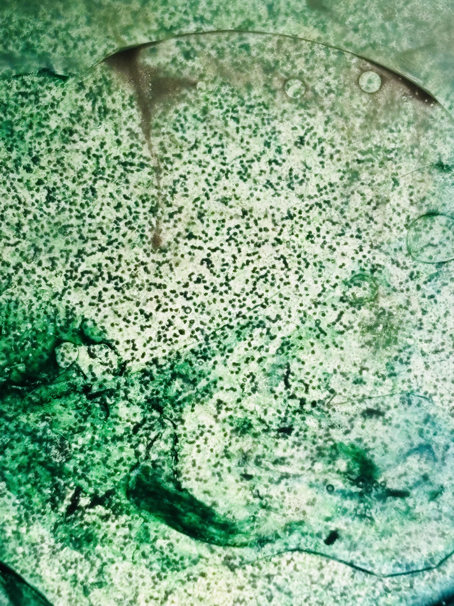 The theater of being a human